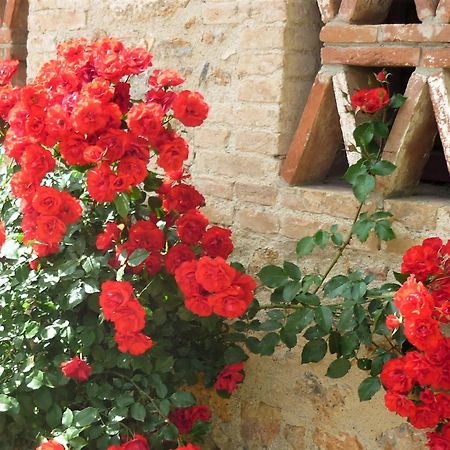 Fattoria Agriturismo Nerbona Casole dʼElsa Exterior foto