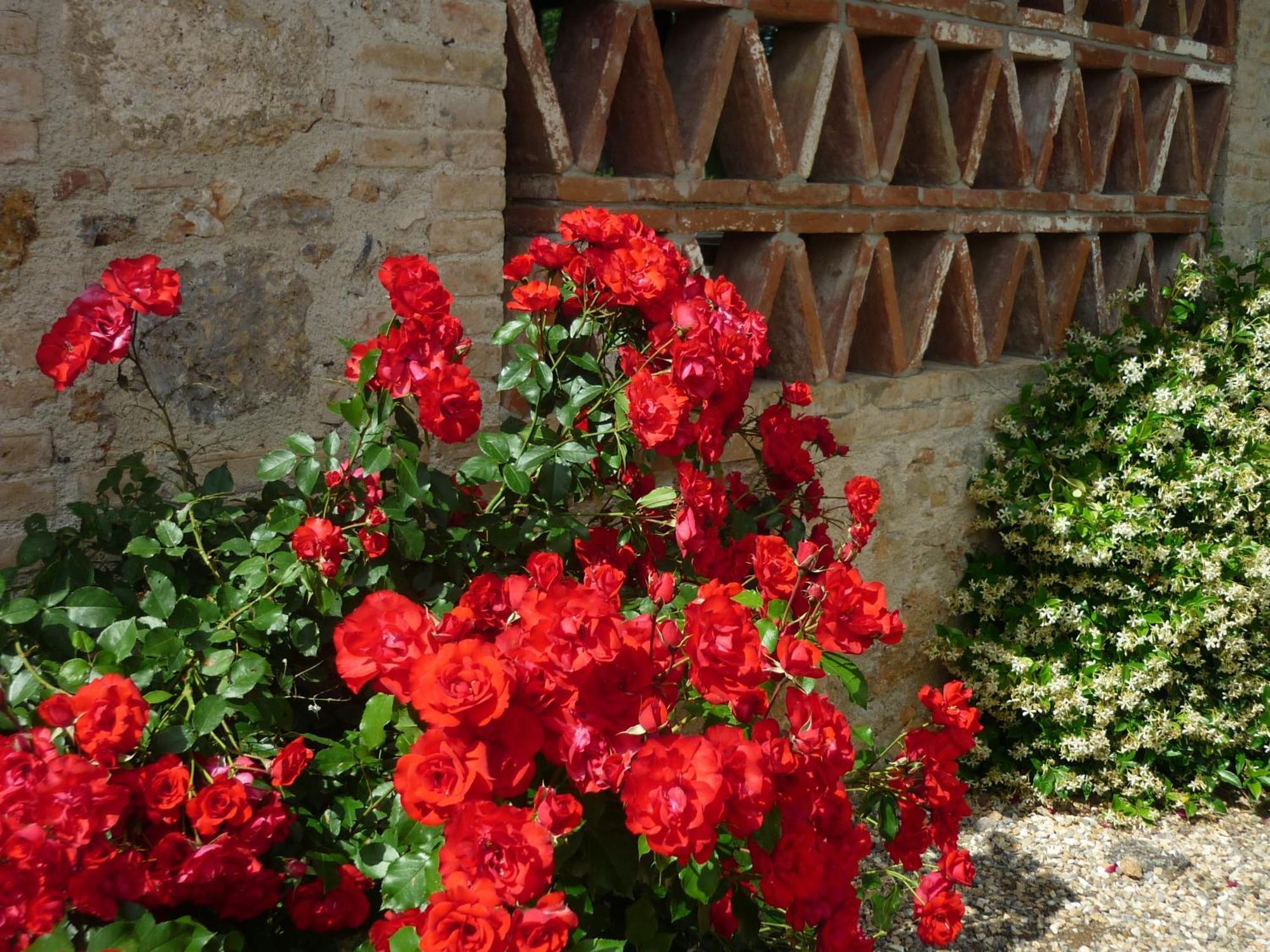 Fattoria Agriturismo Nerbona Vila Casole dʼElsa Exterior foto