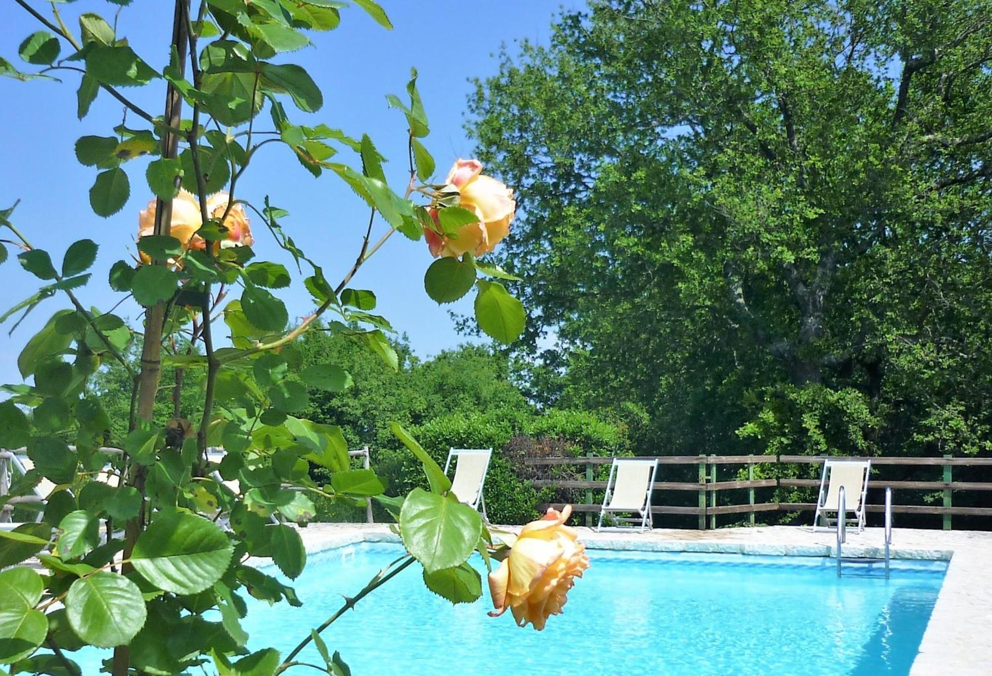 Fattoria Agriturismo Nerbona Casole dʼElsa Exterior foto